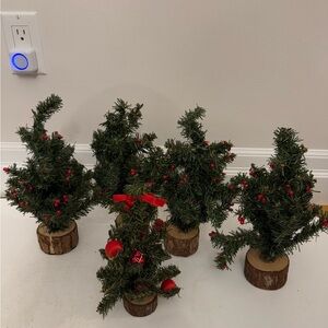 5 Christmas trees with wood bases